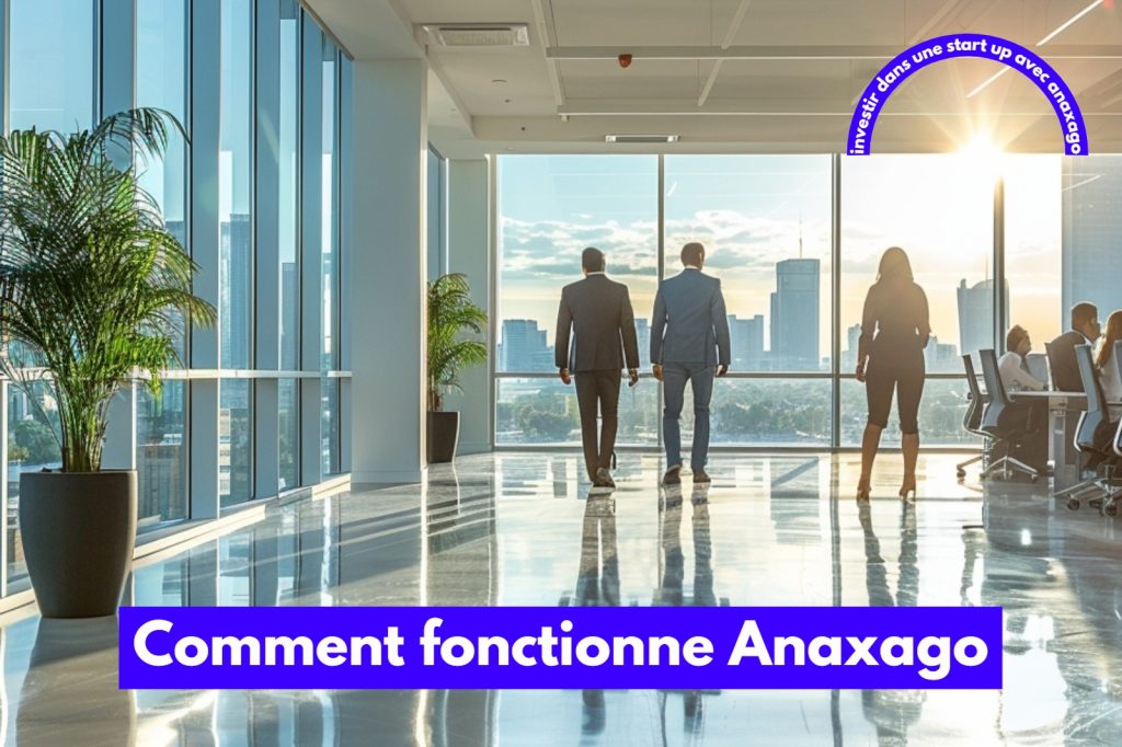 Comment fonctionne Anaxago